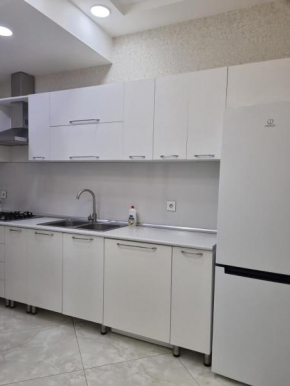 Apartment and Guesthouse for COP29 Baku